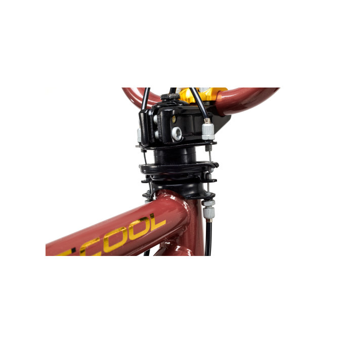 Detský bicykel XtriX 20 hnedý/zlatý (od 120 cm)