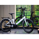 Mestský elektrobicykel Evening 24''