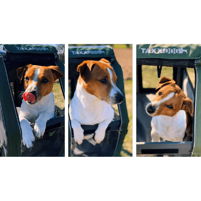 TaXXI Vozík pre psa L tmavosivá/tmavozelená