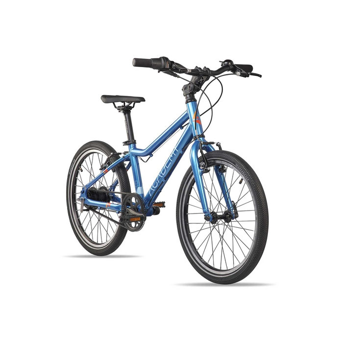 Grade 4 Belt - 20" (od 115 cm)