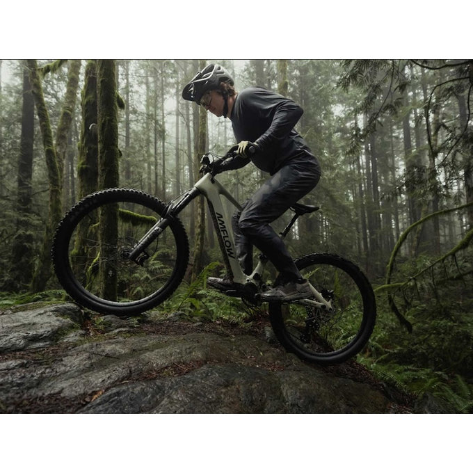AMFLOW PR Carbon 29"