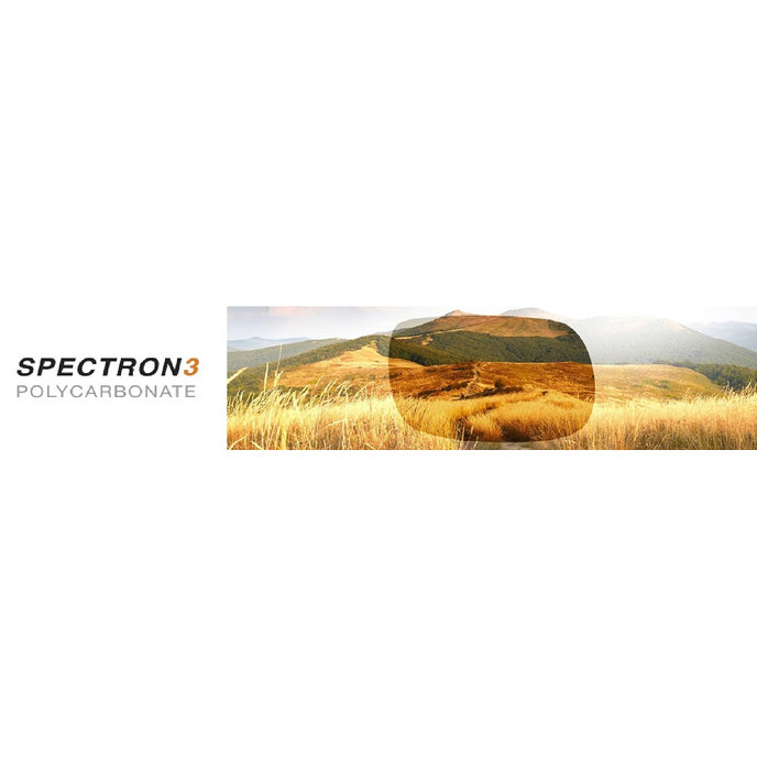 FRISBEE Spectron 3+