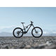 AMFLOW PX Carbon 29"