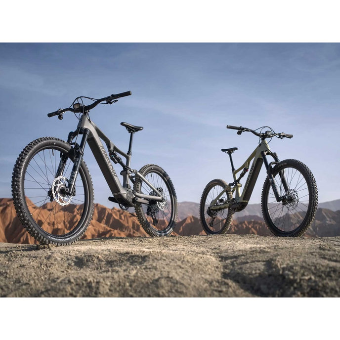 AMFLOW PR Carbon 29"