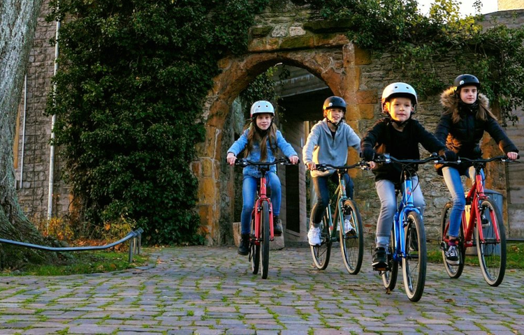 academy detske bicykle children bike colors