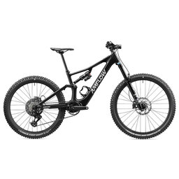 AMFLOW PX Carbon 29"