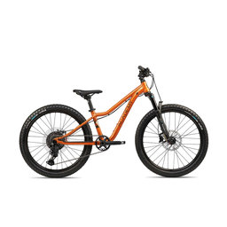 S-GRADE Trail 5 - 24"