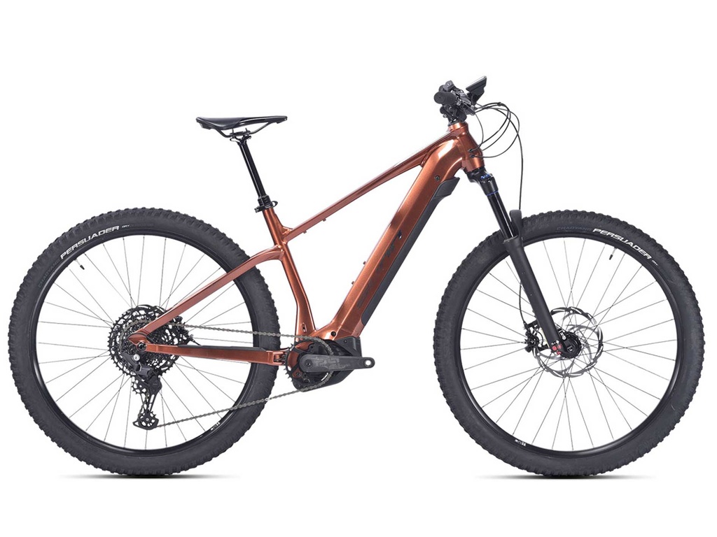 SUNN RAGE 29" 2025 S, Sivá