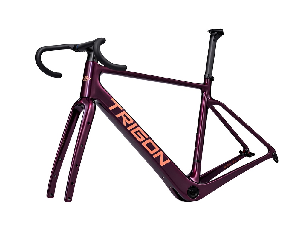 Trigon RC2 Burgundy-Dreamer 2026, Fialová